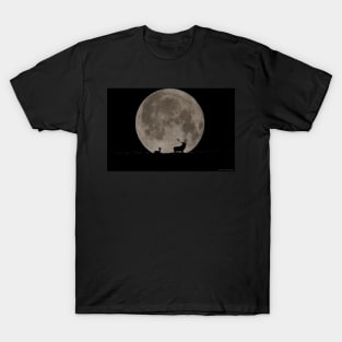 stags moon silhouette T-Shirt